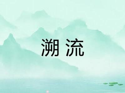 溯流