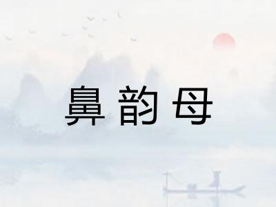 鼻韵母