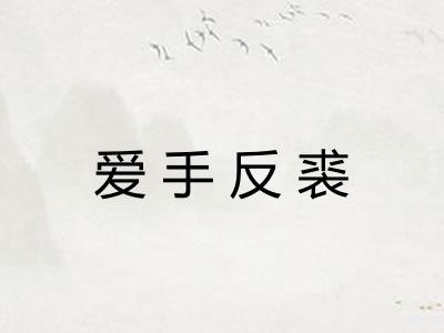 爱手反裘