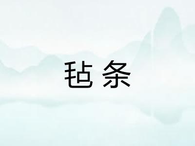 毡条