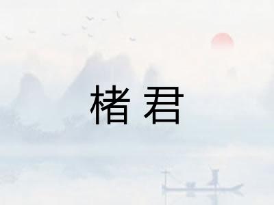 楮君