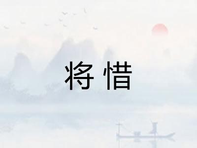 将惜