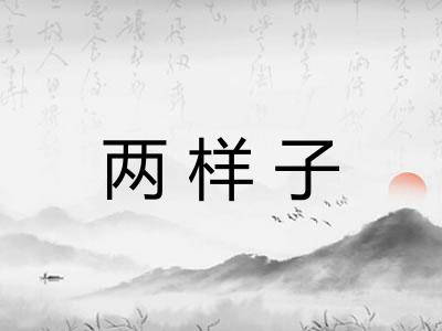 两样子