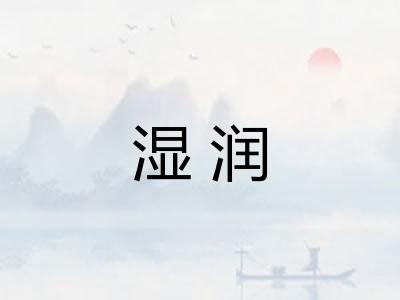 湿润