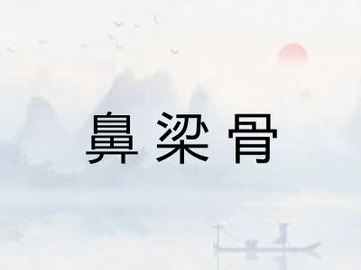 鼻梁骨