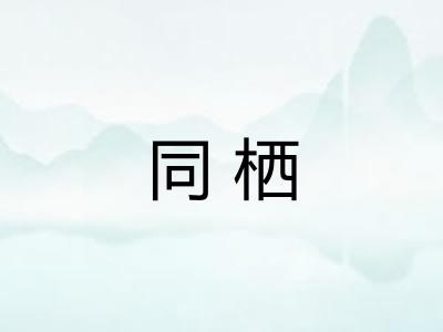 同栖