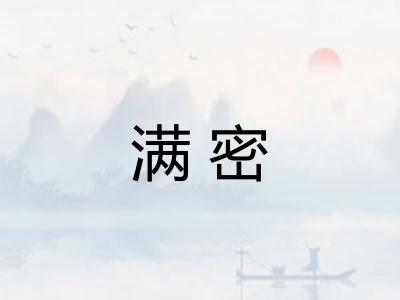 满密