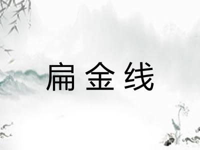 扁金线