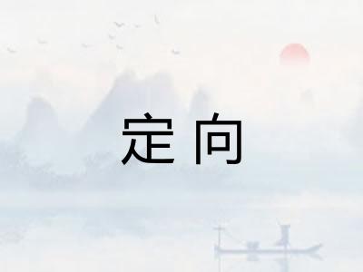 定向