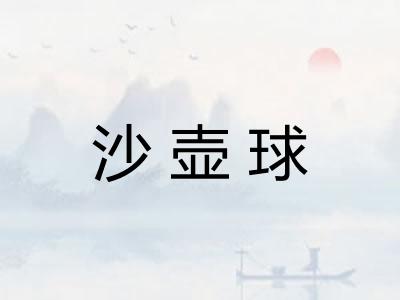 沙壶球