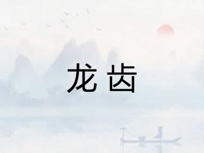 龙齿