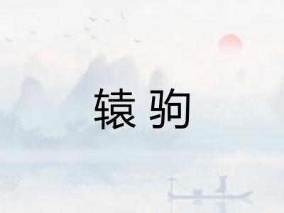 辕驹