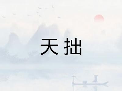 天拙