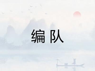 编队