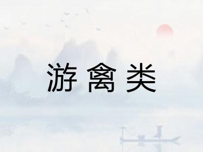 游禽类