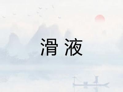 滑液