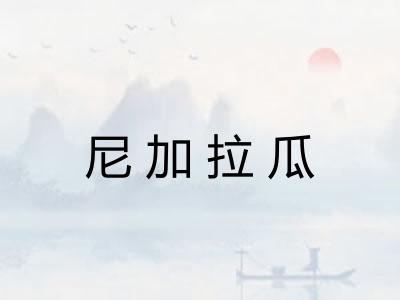 尼加拉瓜