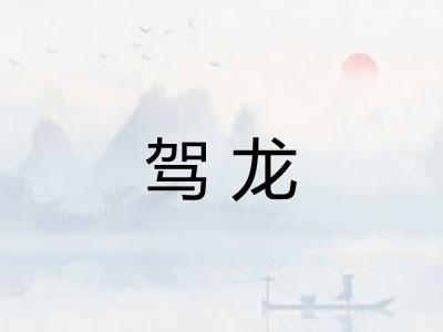 驾龙