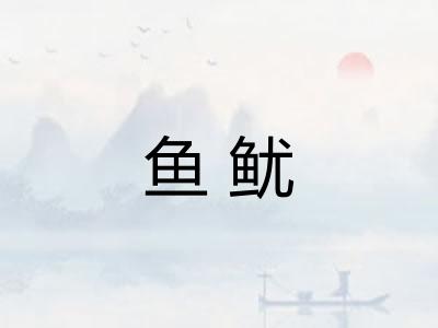 鱼鱿