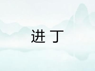 进丁