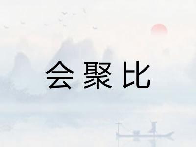 会聚比