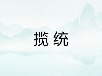 揽统