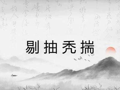 剔抽秃揣