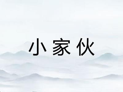 小家伙