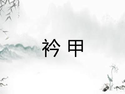 衿甲