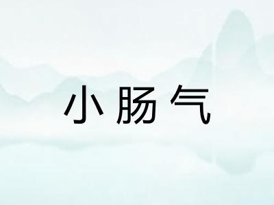 小肠气