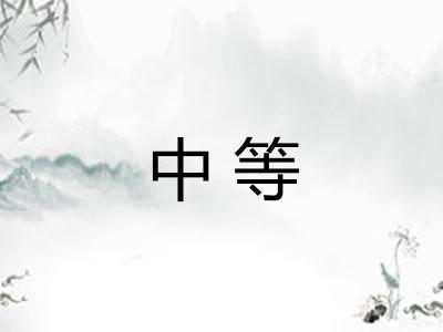 中等