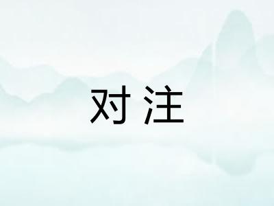 对注