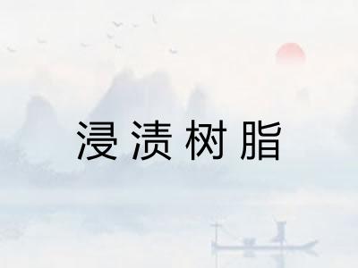 浸渍树脂