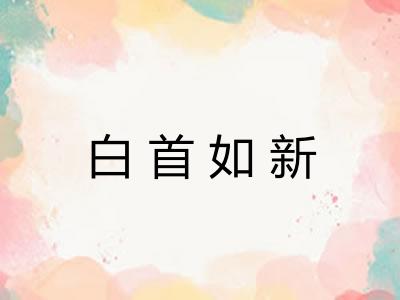 白首如新