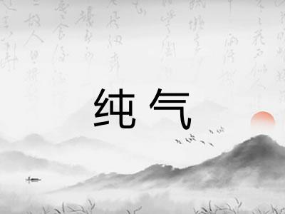 纯气