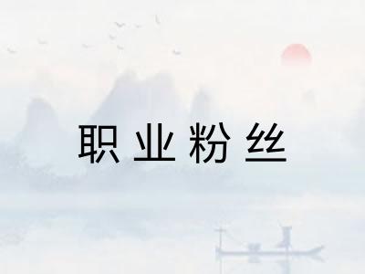 职业粉丝