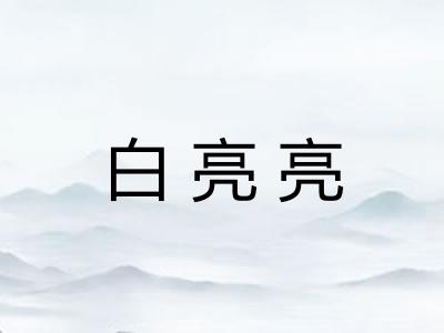 白亮亮