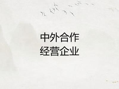 中外合作经营企业