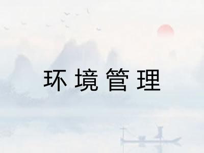 环境管理