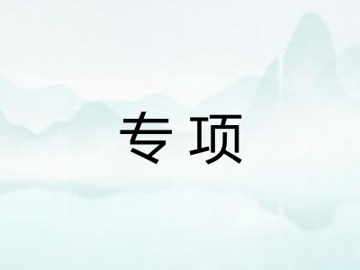 专项