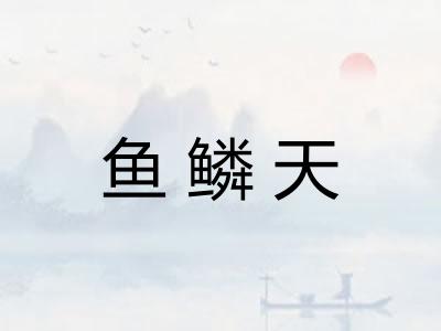 鱼鳞天