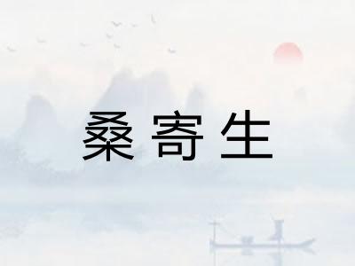 桑寄生