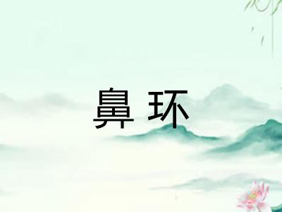 鼻环