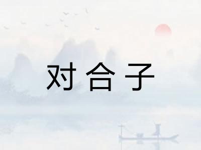 对合子