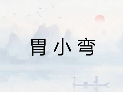 胃小弯