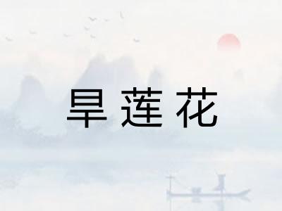 旱莲花