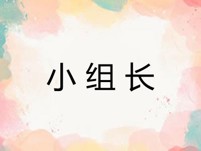 小组长