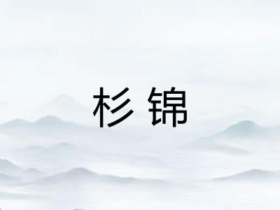 杉锦