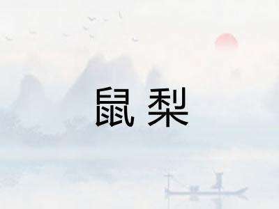 鼠梨