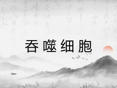 吞噬细胞